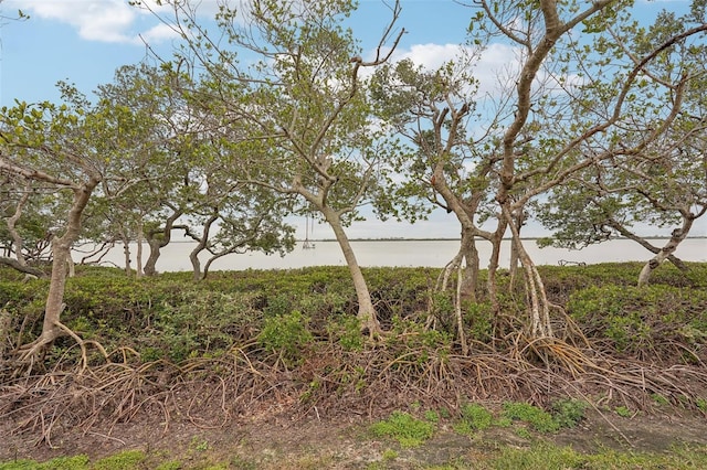 view of local wilderness featuring a water view