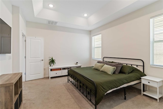 carpeted bedroom featuring a raised ceiling