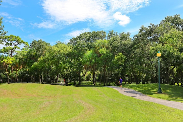 view of community featuring a lawn