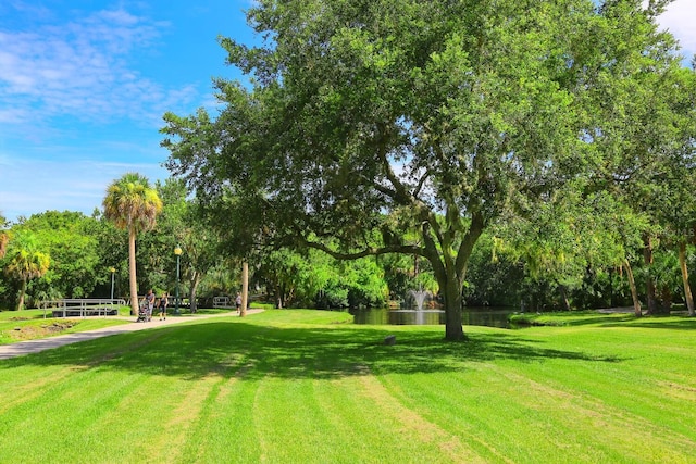 view of property's community with a lawn