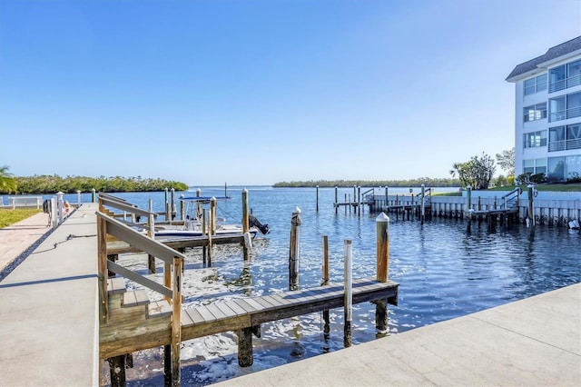 dock area with a water view