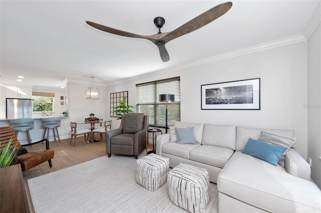 living room featuring ceiling fan, ornamental molding, and light hardwood / wood-style floors