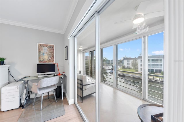 office with crown molding, ceiling fan, and light hardwood / wood-style flooring