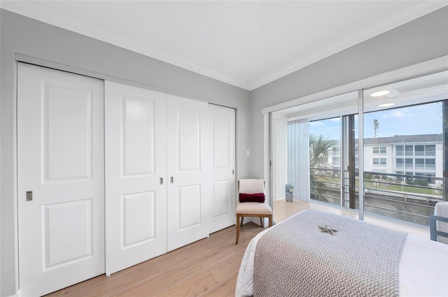 bedroom featuring ornamental molding, a closet, and light wood-type flooring