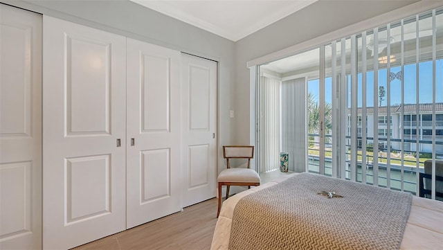 bedroom featuring light wood-type flooring, a closet, and crown molding
