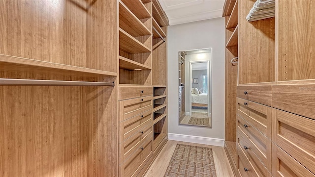 spacious closet featuring wood finished floors