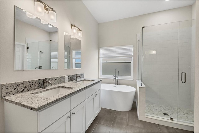 bathroom featuring vanity and separate shower and tub