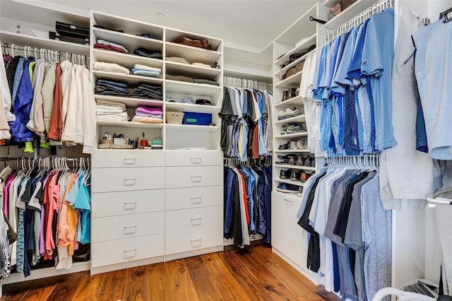 walk in closet with dark hardwood / wood-style flooring