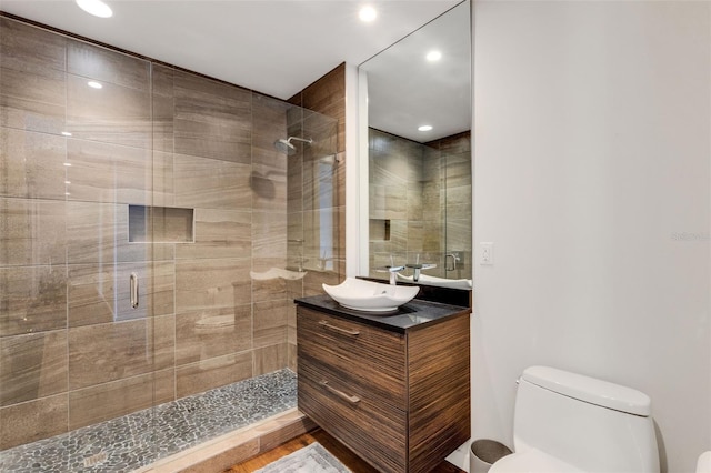 bathroom with vanity, a shower with shower door, and toilet