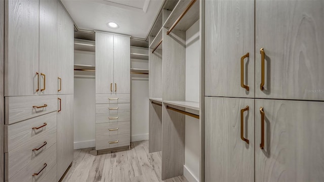 spacious closet featuring light wood-type flooring