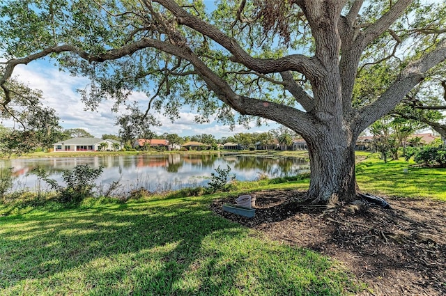 property view of water