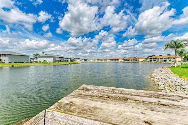 dock area with a water view