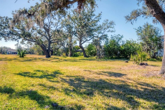 2006 Red Lake Run, Bradenton, FL 34211 - view of grassy yard