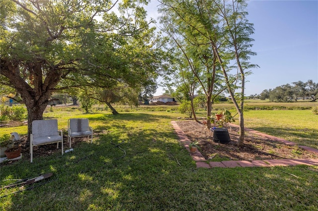 view of yard with a rural view