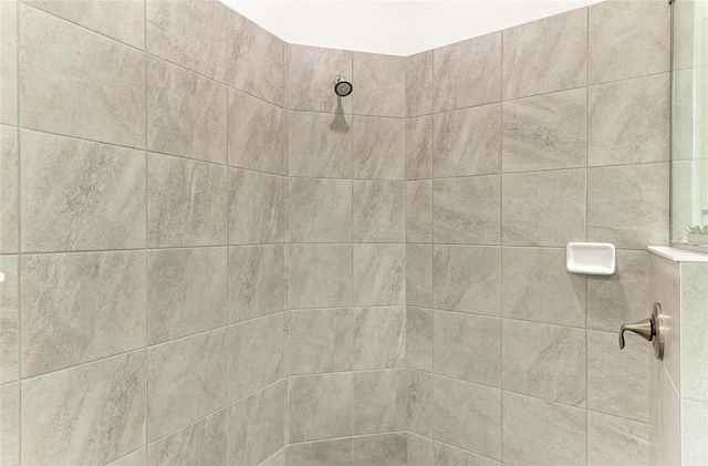 interior details featuring a tile shower