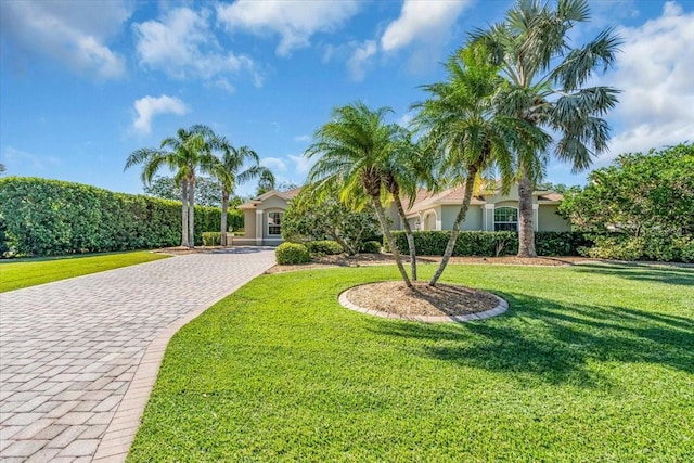 view of home's community featuring decorative driveway and a lawn