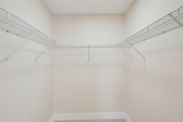 view of walk in closet