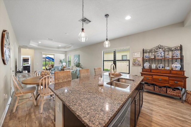 kitchen with sink, a tray ceiling, a center island with sink, decorative light fixtures, and stainless steel dishwasher