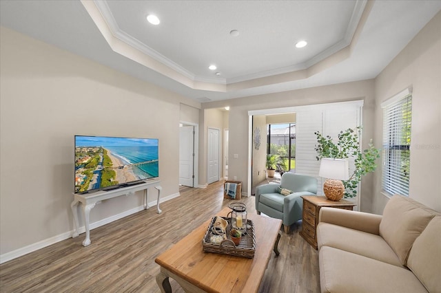 living room with crown molding, hardwood / wood-style floors, and a tray ceiling