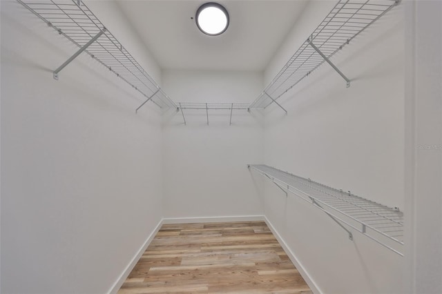 walk in closet featuring hardwood / wood-style floors