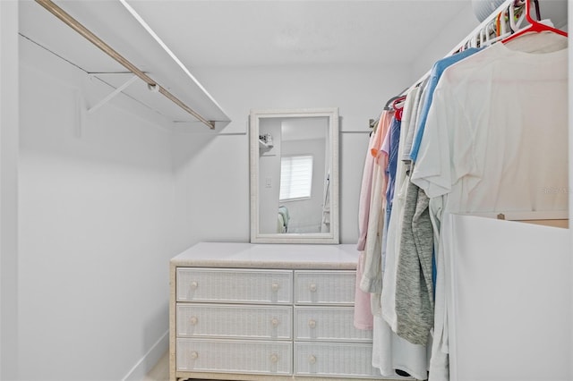 view of walk in closet