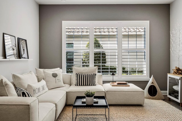 living room with hardwood / wood-style floors