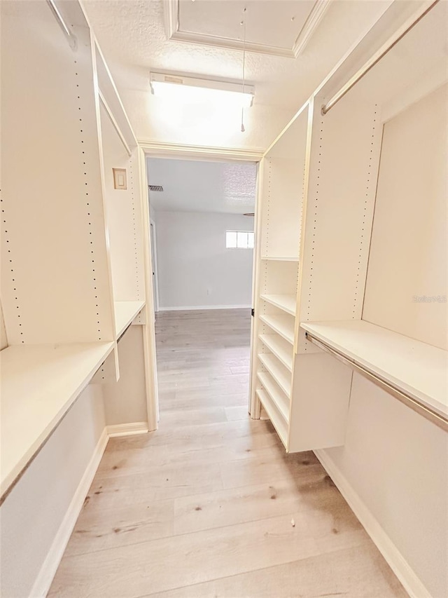 walk in closet featuring light wood-type flooring