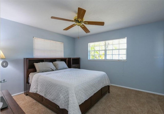 4522 Banan Pl, Sarasota, FL 34242 - photo 13
