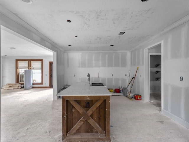 kitchen featuring crown molding and french doors