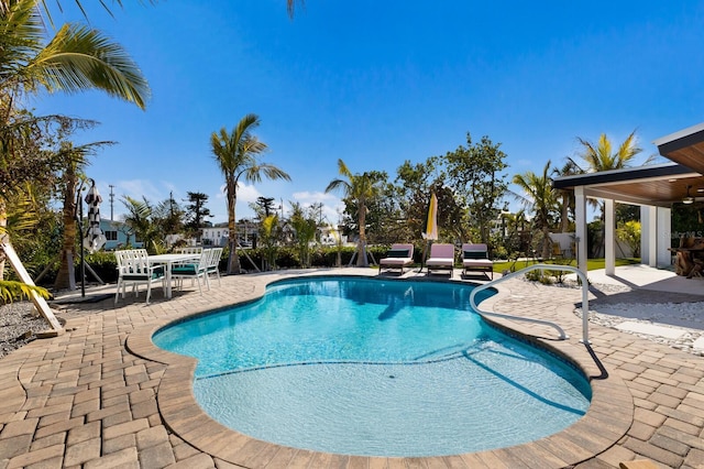 view of swimming pool featuring a patio area