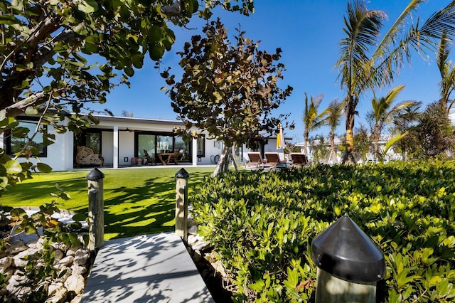 view of yard featuring a patio area