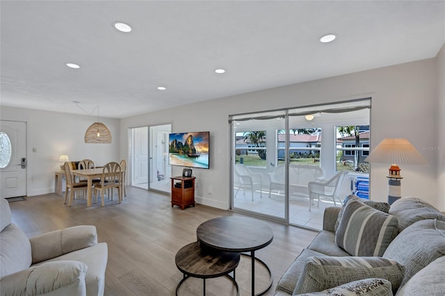 living room featuring light hardwood / wood-style floors