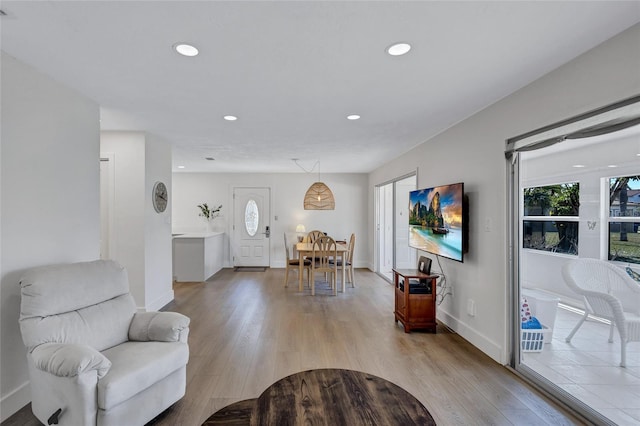 living room featuring light hardwood / wood-style flooring