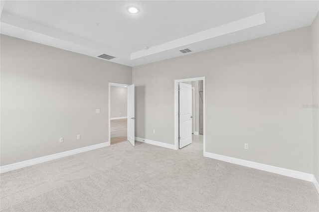 spare room with a raised ceiling and light colored carpet