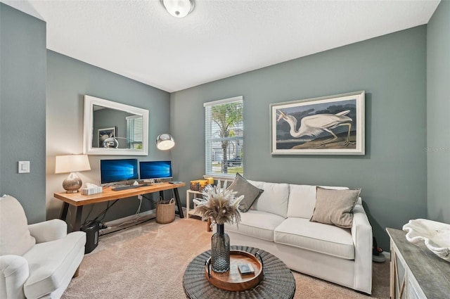 living room with carpet floors