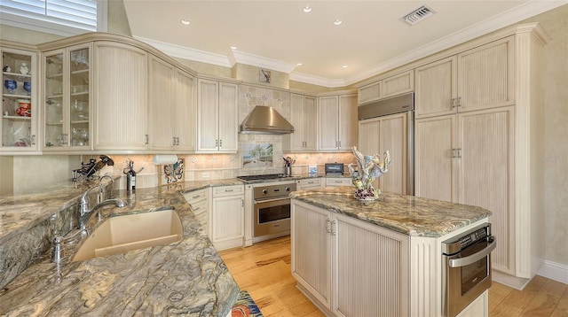 kitchen featuring light stone countertops, appliances with stainless steel finishes, sink, and range hood