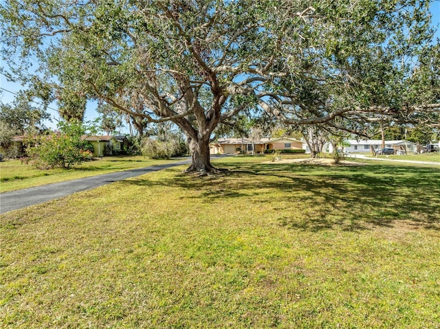 view of front of house featuring a front lawn