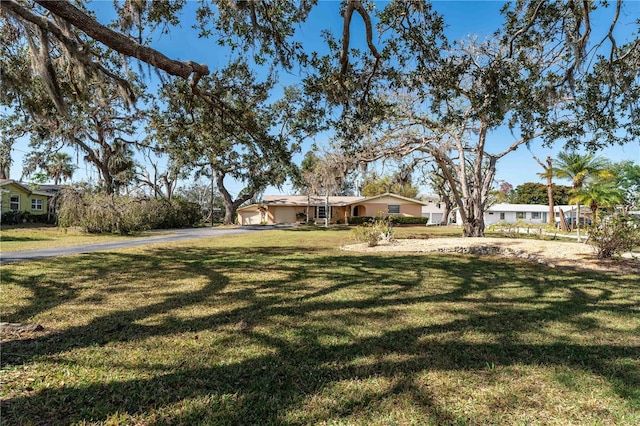 ranch-style house with a front lawn