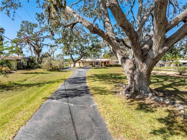 view of front of property featuring a front lawn