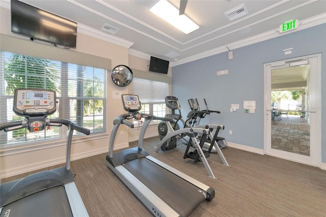 workout area with crown molding and carpet