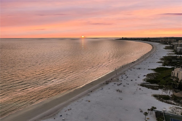 view of water feature featuring a view of the beach