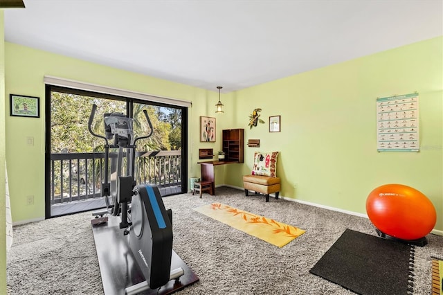 workout room featuring carpet