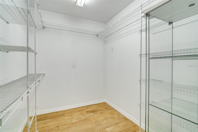 spacious closet featuring wood-type flooring