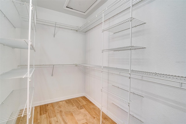 walk in closet with hardwood / wood-style floors