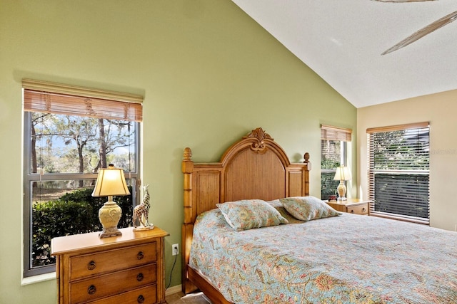 bedroom featuring vaulted ceiling