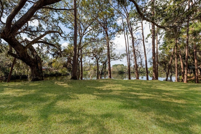 view of yard with a water view