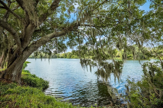 water view