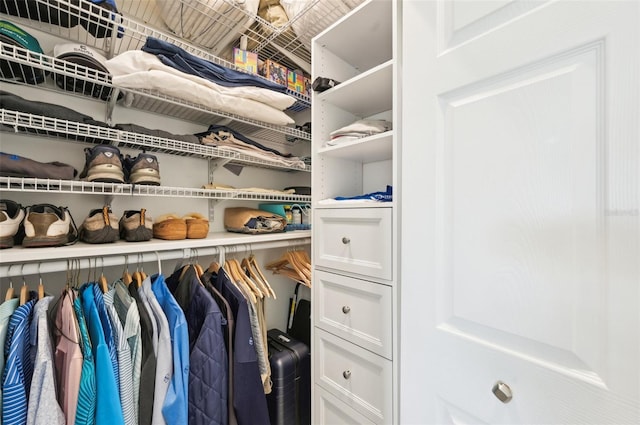 view of spacious closet