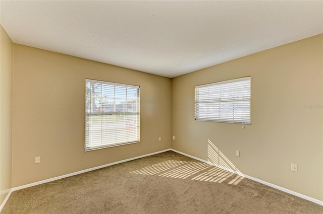 empty room featuring carpet