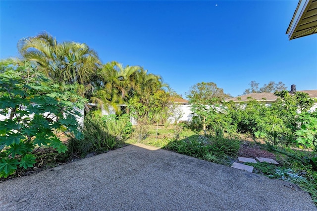 view of yard with a patio